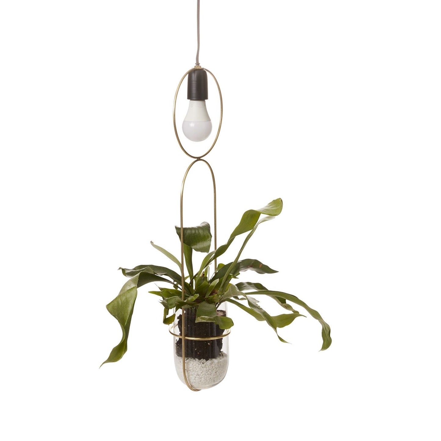 Kol Hanging Planter Large 7"x5"x25"