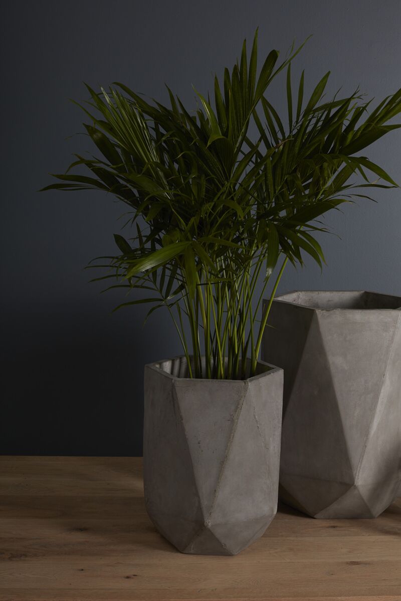 Vernon Planter Small 12.25"x16.25"