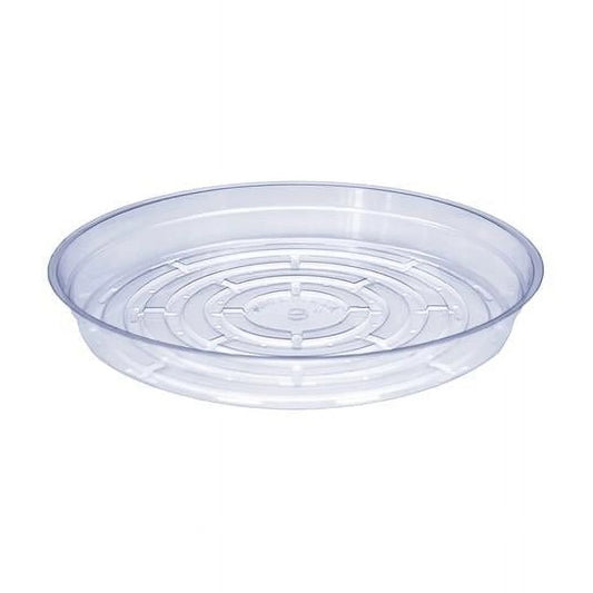 Saucer D09-Clear