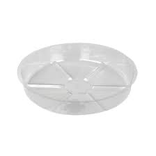 Saucer D08-Clear