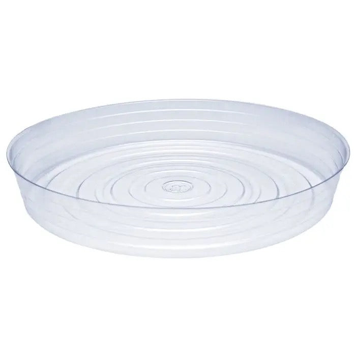 Saucer D07-Clear