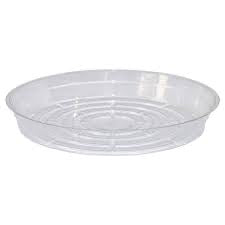 Saucer D06-Clear
