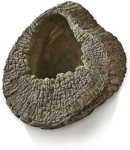 Seabrook 8" Wall Planter
